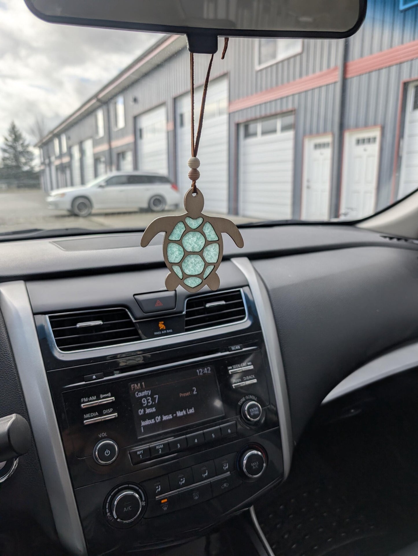 Turtle Air Freshener
