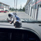 Dodge ram rear view mirror ornament | dodge cummins| 2nd gen cummins